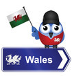 Comical Wales sign