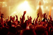 cheering crowd at concert