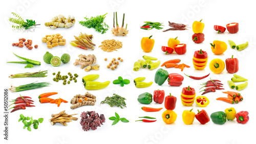 Photo: Collection of Spices Collection of Spices