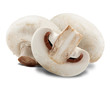 Champignon