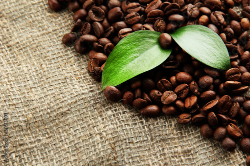 Photo: Coffee beans with leaves on sack-cloth background Coffee beans with leaves on sack-cloth background