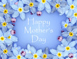 Foto: Blue flower mothers day card Blue flower mothers day card
