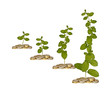 Saplings growing from coins