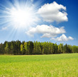 spring landscape