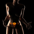 uterus radiography scan