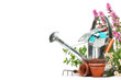 Gardening tools and flowers