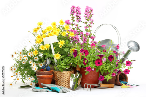 Photo: Gardening tools and flowers Gardening tools and flowers