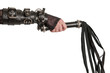 Hand in Leather Cuffs with Lash