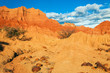 Red Desert and Rocks