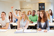 Schülerin hebt Hand in der Schule