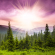 Photo: Beautiful landscape Beautiful landscape