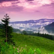 Photo: Beautiful landscape Beautiful landscape