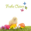 Frohe Ostern