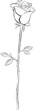 Rose Outlines Vektor