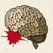 Human brain and a drop of blood