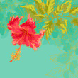Hibiscus flower on toned background