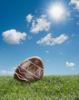 Foto: chocolate easter eggs in landscape chocolate easter eggs in landscape