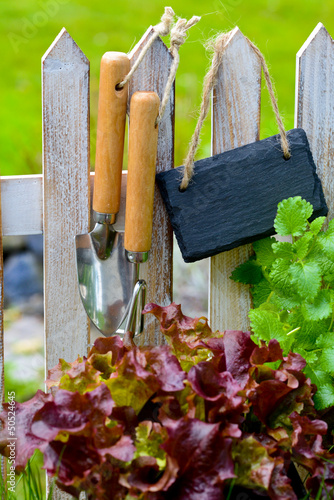 Photo: Schrebergarten Schrebergarten