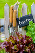 Gemüsegarten