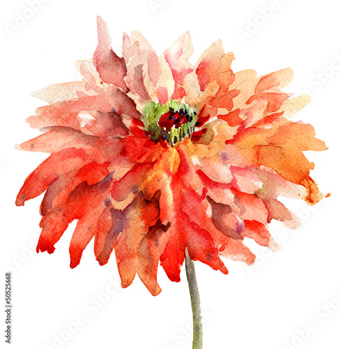 Colorful summer background with flowers Colorful summer background with flowers
