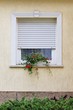 Window