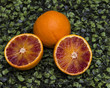Oranges on a green meadow