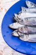 herrings