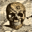 Vintage Skull background