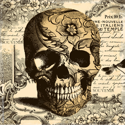 Vector: Vintage Skull background Vintage Skull background