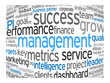 MANAGEMENT Tag Cloud (leadership performance decision-making)