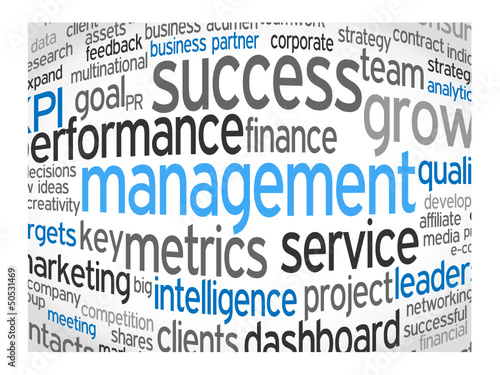 Vector: MANAGEMENT Tag Cloud (leadership performance decision-making) MANAGEMENT Tag Cloud (leadership performance decision-making)