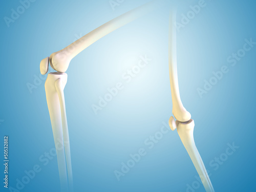 Illustration: knee pain knee pain