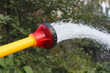 Foto: Watering garden plants with a shower sprayer head Watering garden plants with a shower sprayer head