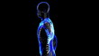 Video: Transition body - skeleton - body. Loop Transition body - skeleton - body. Loop