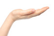 Open woman hand on white background .