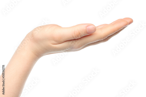 Photo: Open woman hand on white background . Open woman hand on white background .