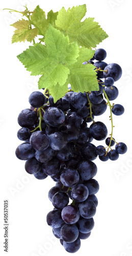 Photo: grappe de raisin grappe de raisin