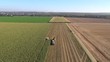 Aerial view of harvesting corn for silage
