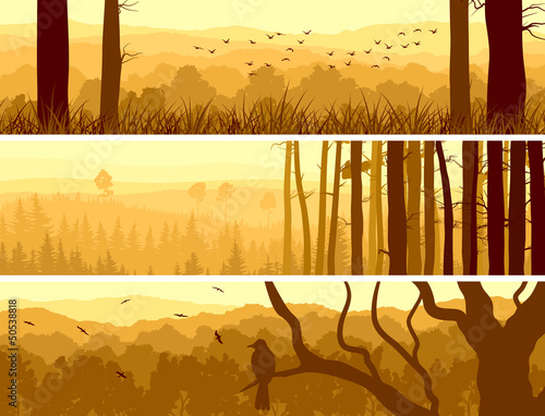 Vector: Horizontal banners of hills deciduous wood. Horizontal banners of hills deciduous wood.