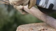 Man using circular saw