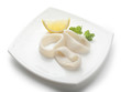 Squid