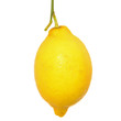 Citron frais sur fond blanc