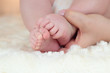 newborn baby feet on female hands