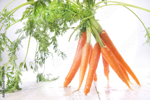 Photo: bunch of carrots bunch of carrots