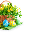 easter egg in basket with spring flower isolated on white