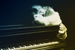 Foto: beautiful young attractive woman in cocktail dress and piano beautiful young attractive woman in cocktail dress and piano