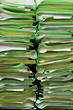 green stacks of office folders
