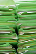 green stacks of office folders