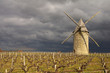 Le moulin de courrian à Blaignan dans le médoc. Gironde