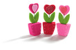 Love Heart Flowers